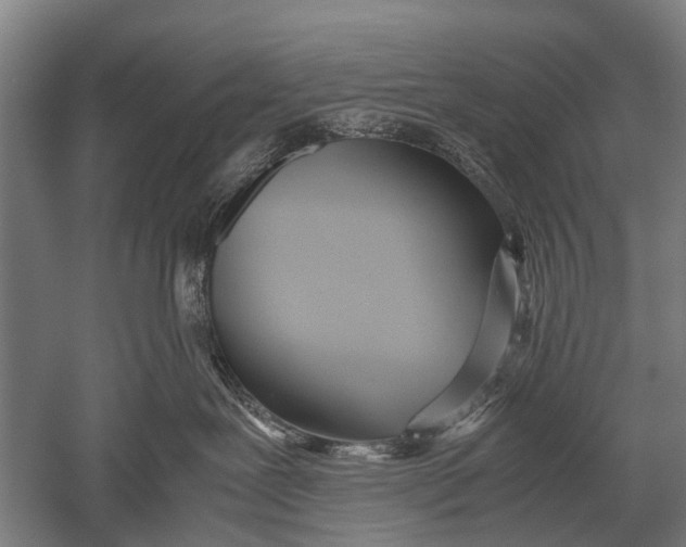 X0000051250239200507082158