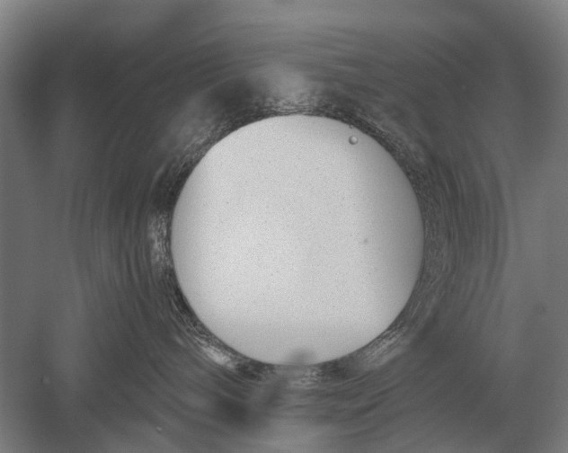 X0000051250240200507082158