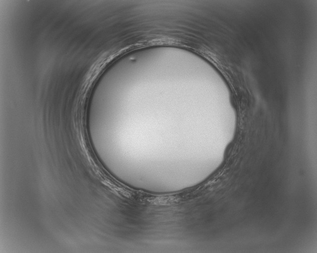 X0000051250241200507082157