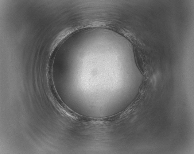 X0000051250242200507082157