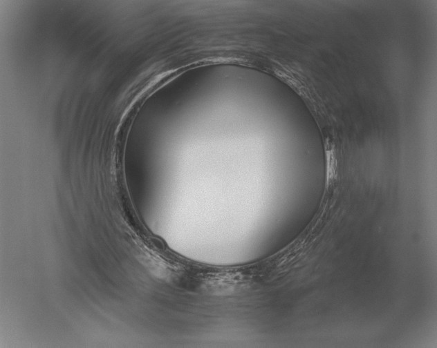 X0000051250243200507082157