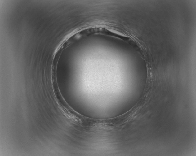 X0000051250244200507082157