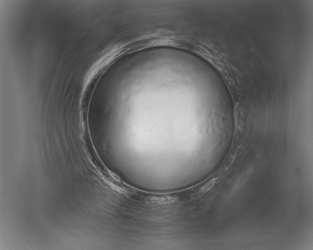 X0000051250245200507082157