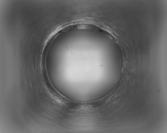 X0000051250248200507082157