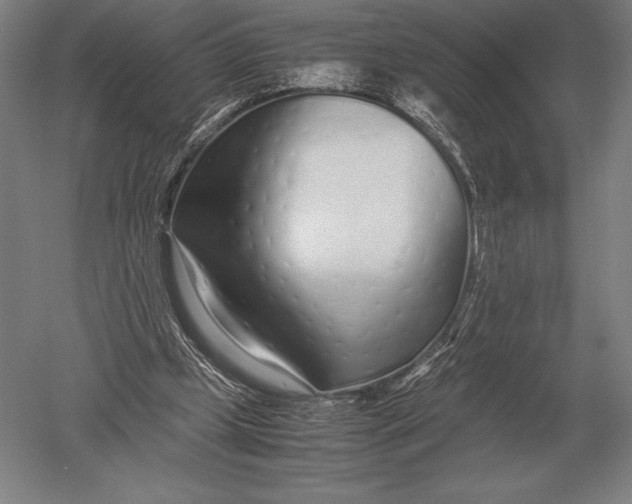 X0000051250249200507082157