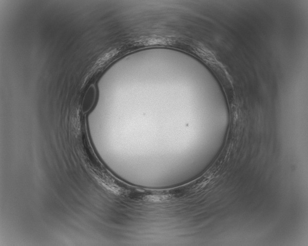 X0000051250250200507082157