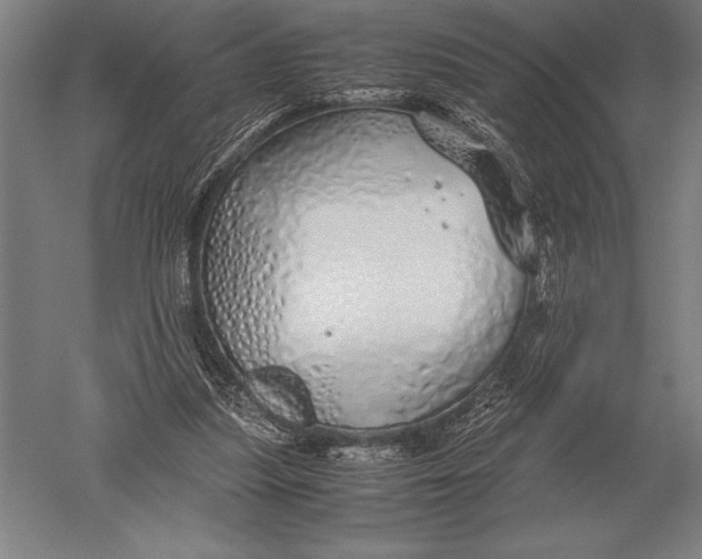 X0000051250251200507082158