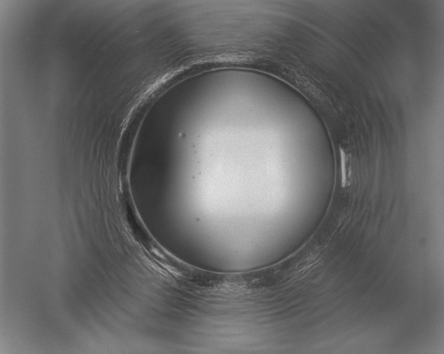 X0000051250252200507082158