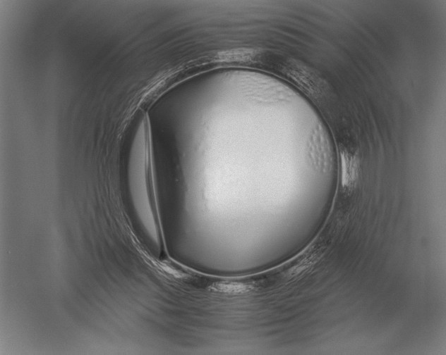 X0000051250253200507082158