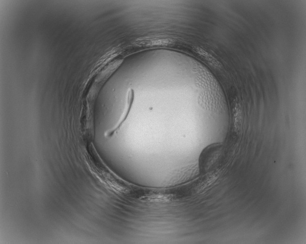 X0000051250254200507082158