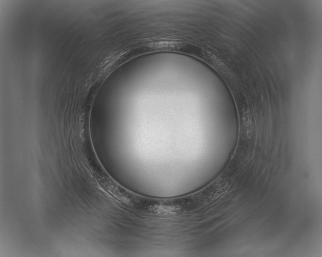 X0000051250255200507082158