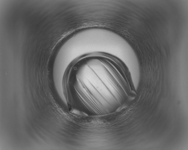 X0000051250256200507082158