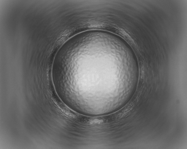 X0000051250257200507082158