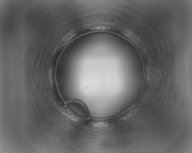 X0000051250258200507082158