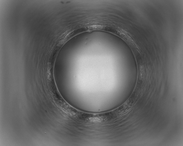 X0000051250259200507082158