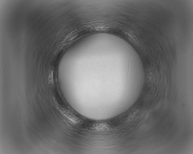 X0000051250262200507082158