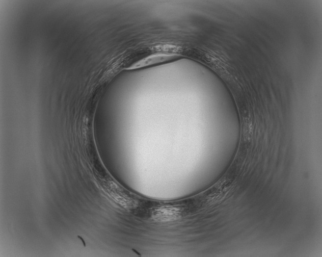 X0000051250263200507082158