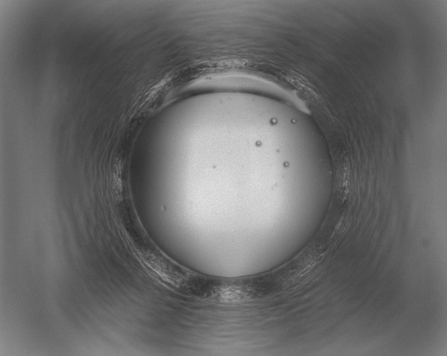 X0000051250264200507082158