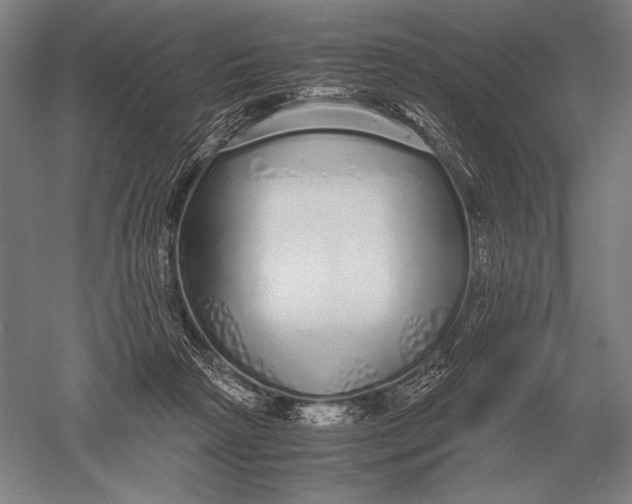 X0000051250265200507082158