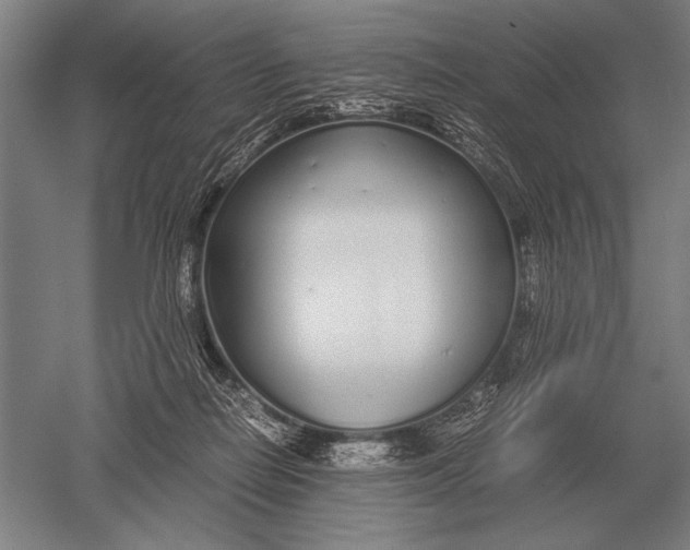 X0000051250266200507082158