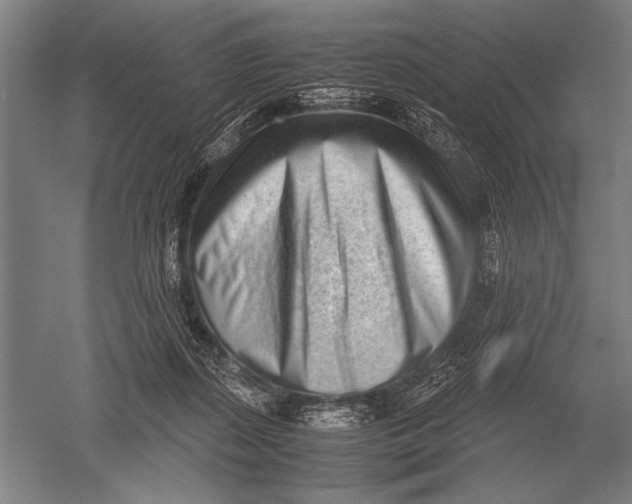 X0000051250267200507082158