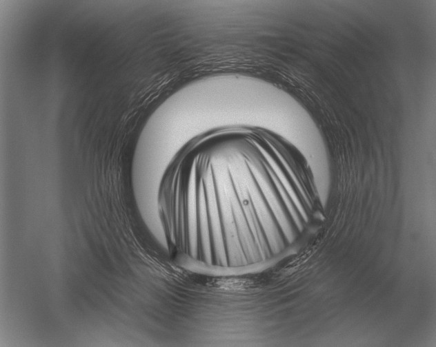 X0000051250268200507082158