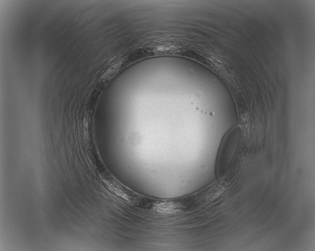 X0000051250269200507082158