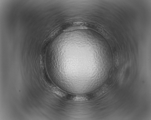 X0000051250270200507082158