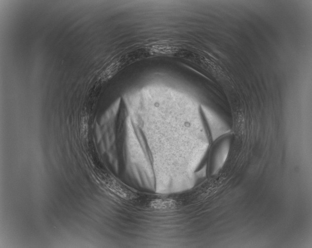 X0000051250271200507082158