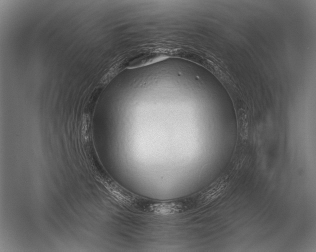 X0000051250273200507082158