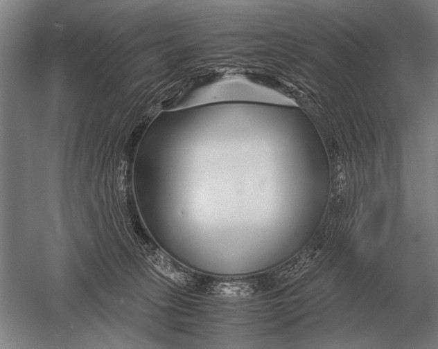 X0000051250275200507082158