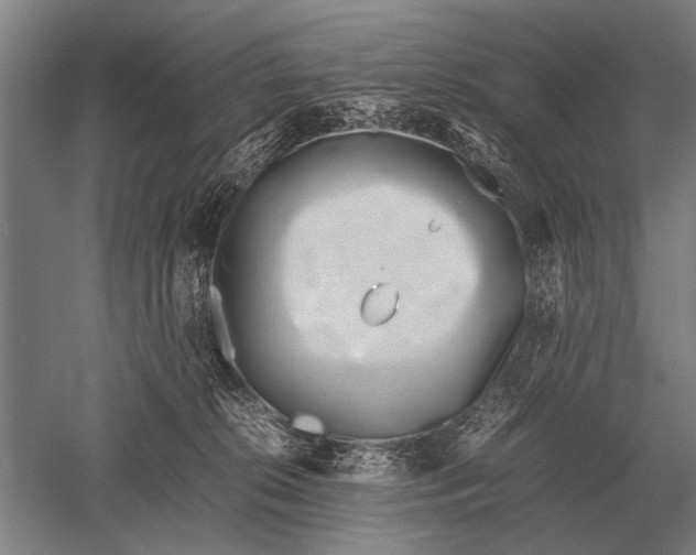 X0000051250276200507082158