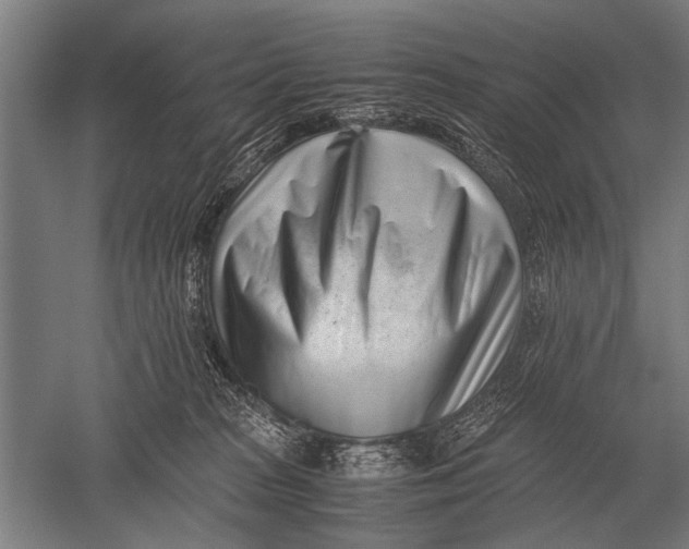 X0000051250277200507082158