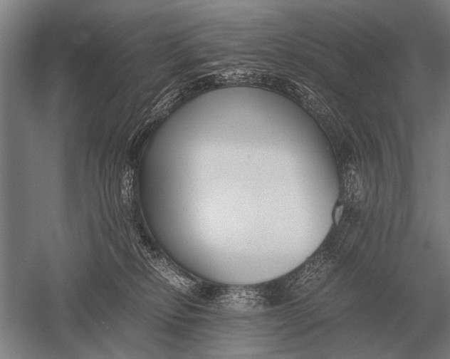 X0000051250278200507082158