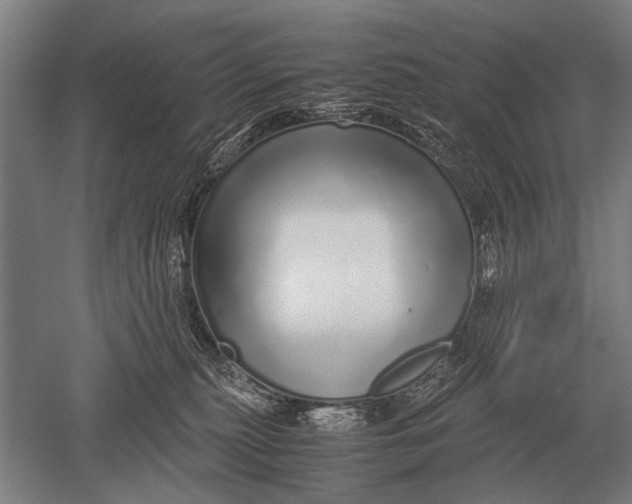 X0000051250279200507082158