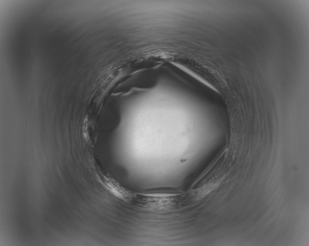 X0000051250288200507082158