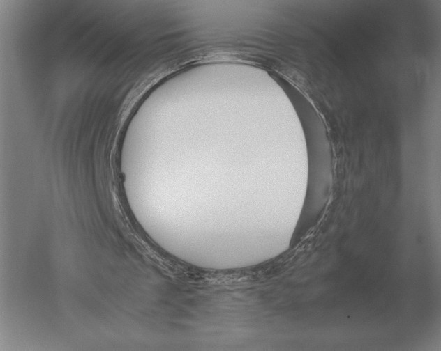 X0000051250289200507082157