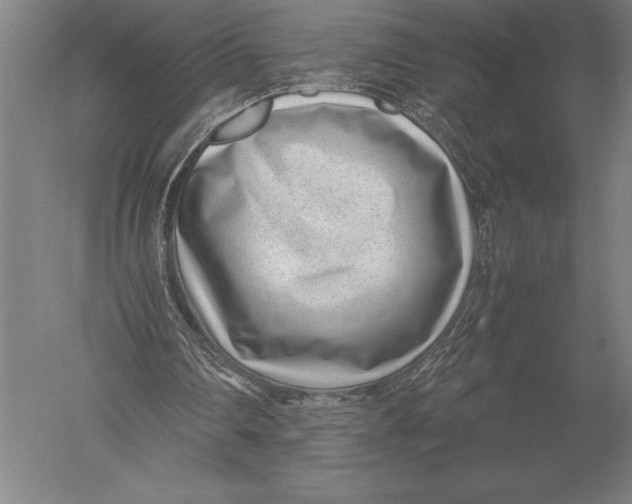 X0000051250290200507082157