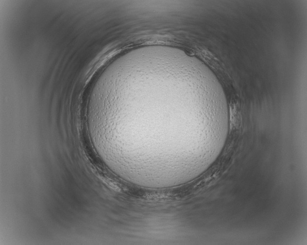 X0000051250291200507082157