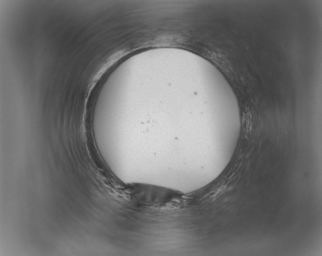 X0000051250292200507082157