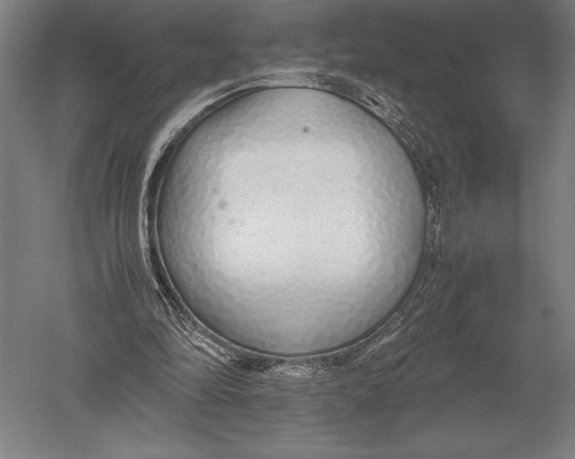 X0000051250294200507082157