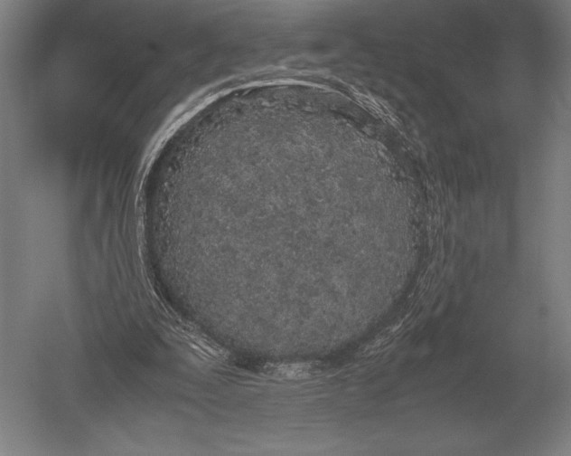 X0000051250295200507082157