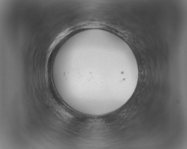 X0000051250296200507082157