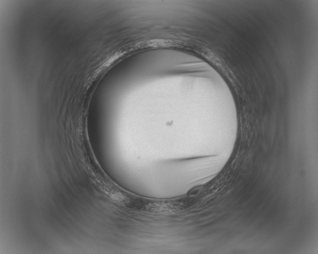 X0000051250297200507082157