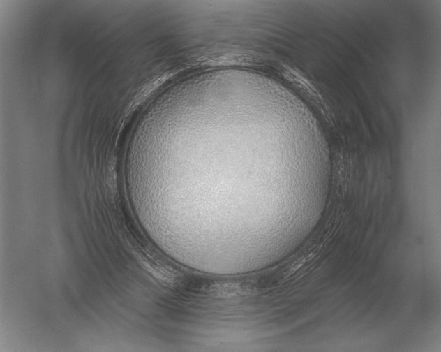 X0000051250298200507082157