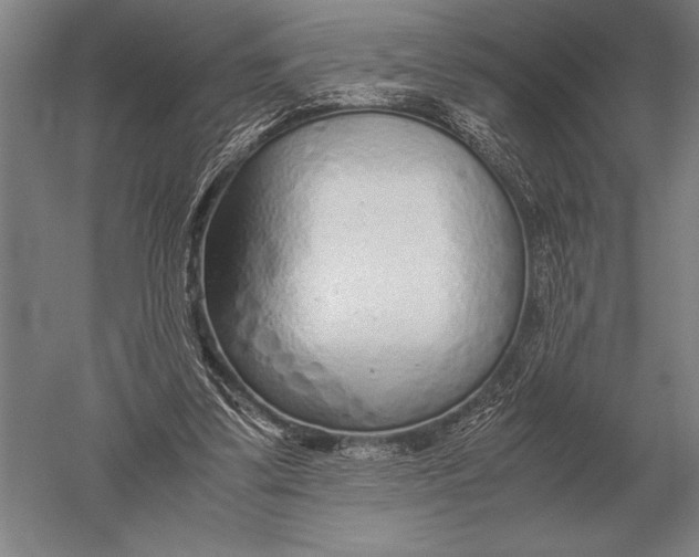 X0000051250299200507082157