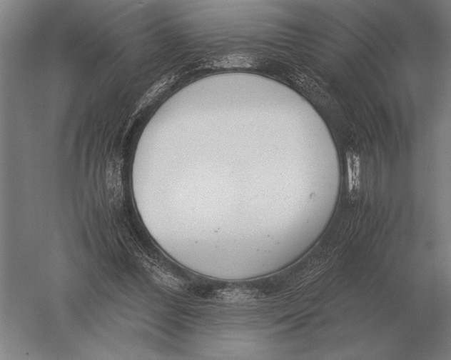 X0000051250300200507082157