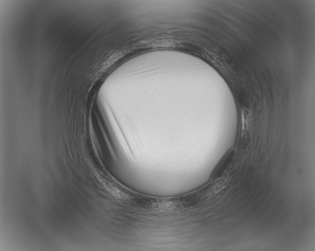 X0000051250301200507082157