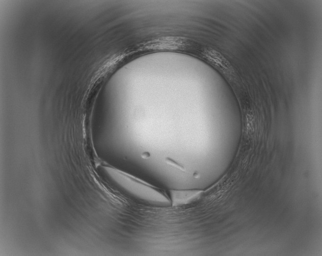 X0000051250302200507082157