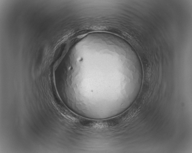 X0000051250303200507082157